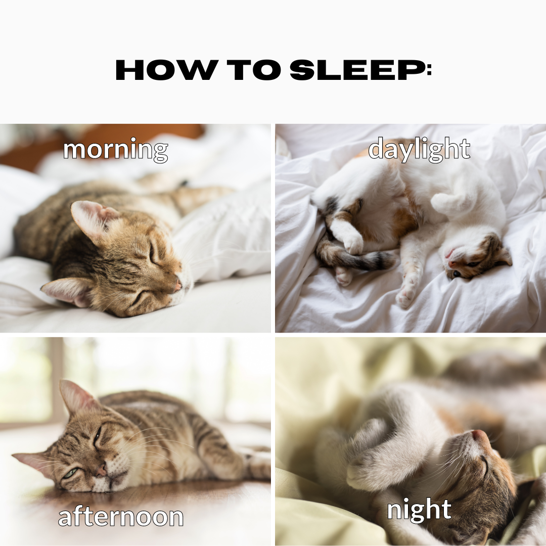carts arew sleepege